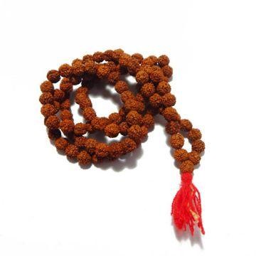 Rudraksha & Mala